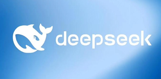 DeepSeek identity